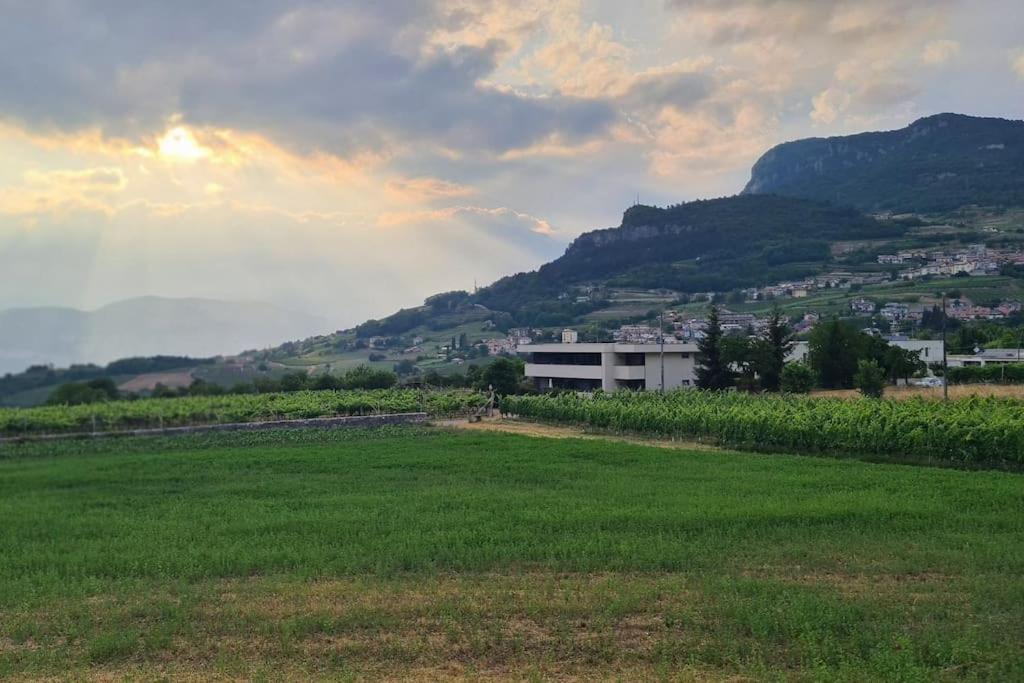 Appartamenti Moderni, Luminosi E Tranquilli Con Parcheggio Privato - Agritur La Tenuta Trento Exterior foto