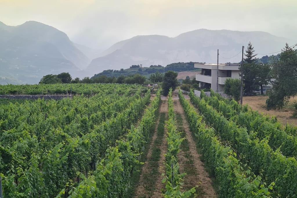 Appartamenti Moderni, Luminosi E Tranquilli Con Parcheggio Privato - Agritur La Tenuta Trento Exterior foto