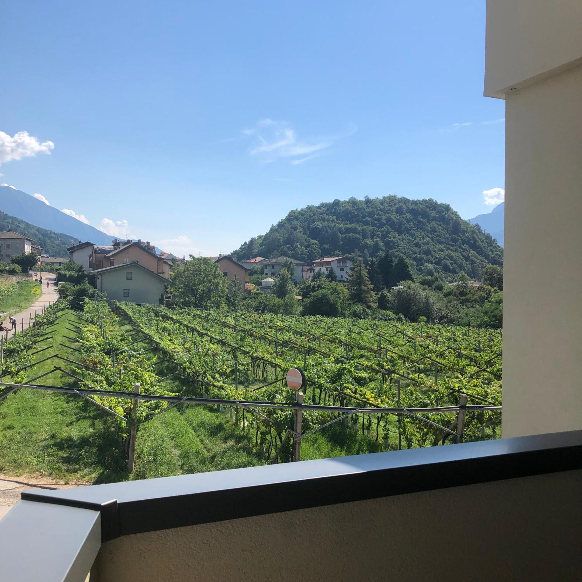 Appartamenti Moderni, Luminosi E Tranquilli Con Parcheggio Privato - Agritur La Tenuta Trento Exterior foto
